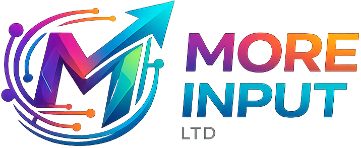 MORE INPUT LTD